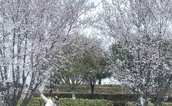 lol电竞剧演员表